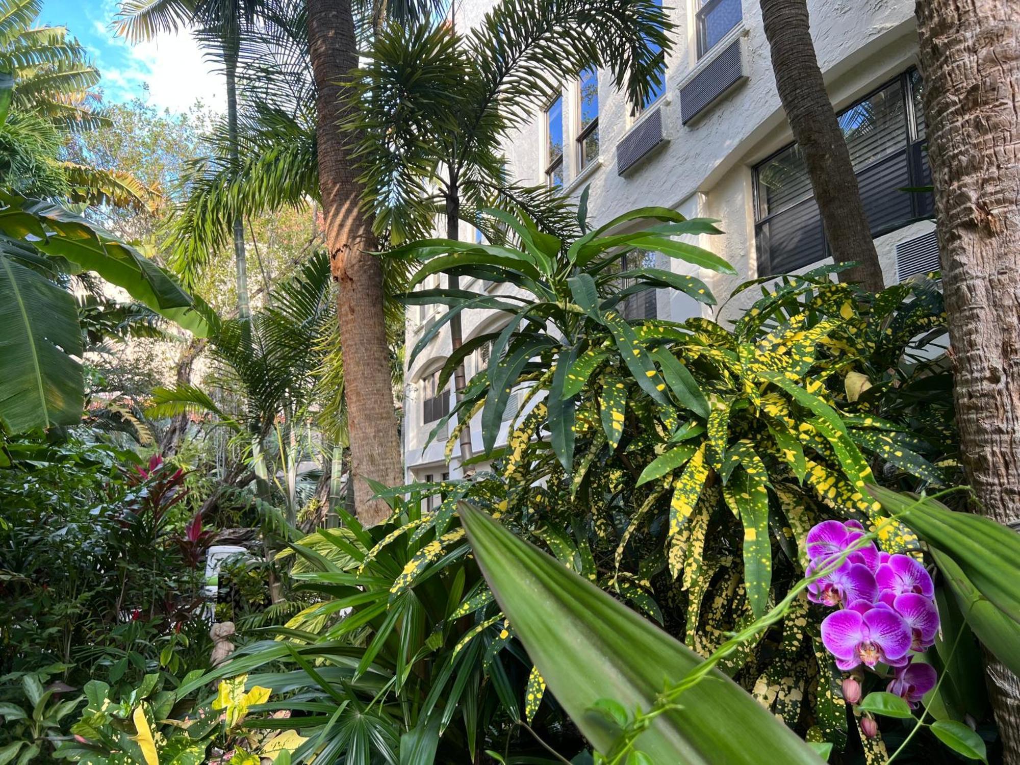 Orchid Suites - Historic Palm Beach Hotel Condominium Exterior photo